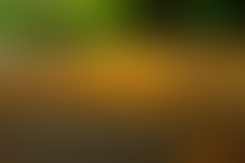 3542281601_1624870266.1442.jpg